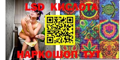 амф Славгород