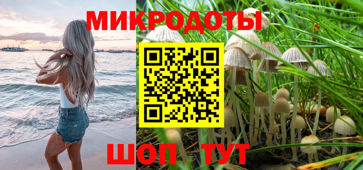 Галлюциногенные грибы Psilocybine cubensis Черкесск