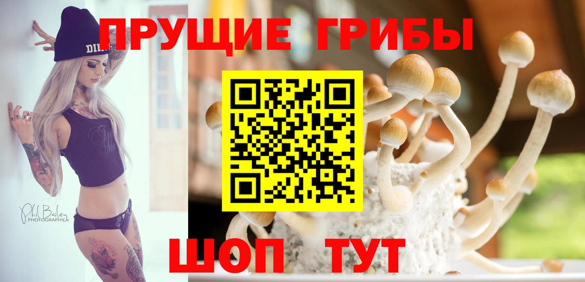 Псилоцибиновые грибы MAGIC MUSHROOMS  Вход с VPN  наркота  Черкесск 